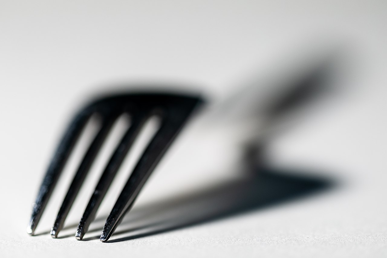 Forks State Forest Campground