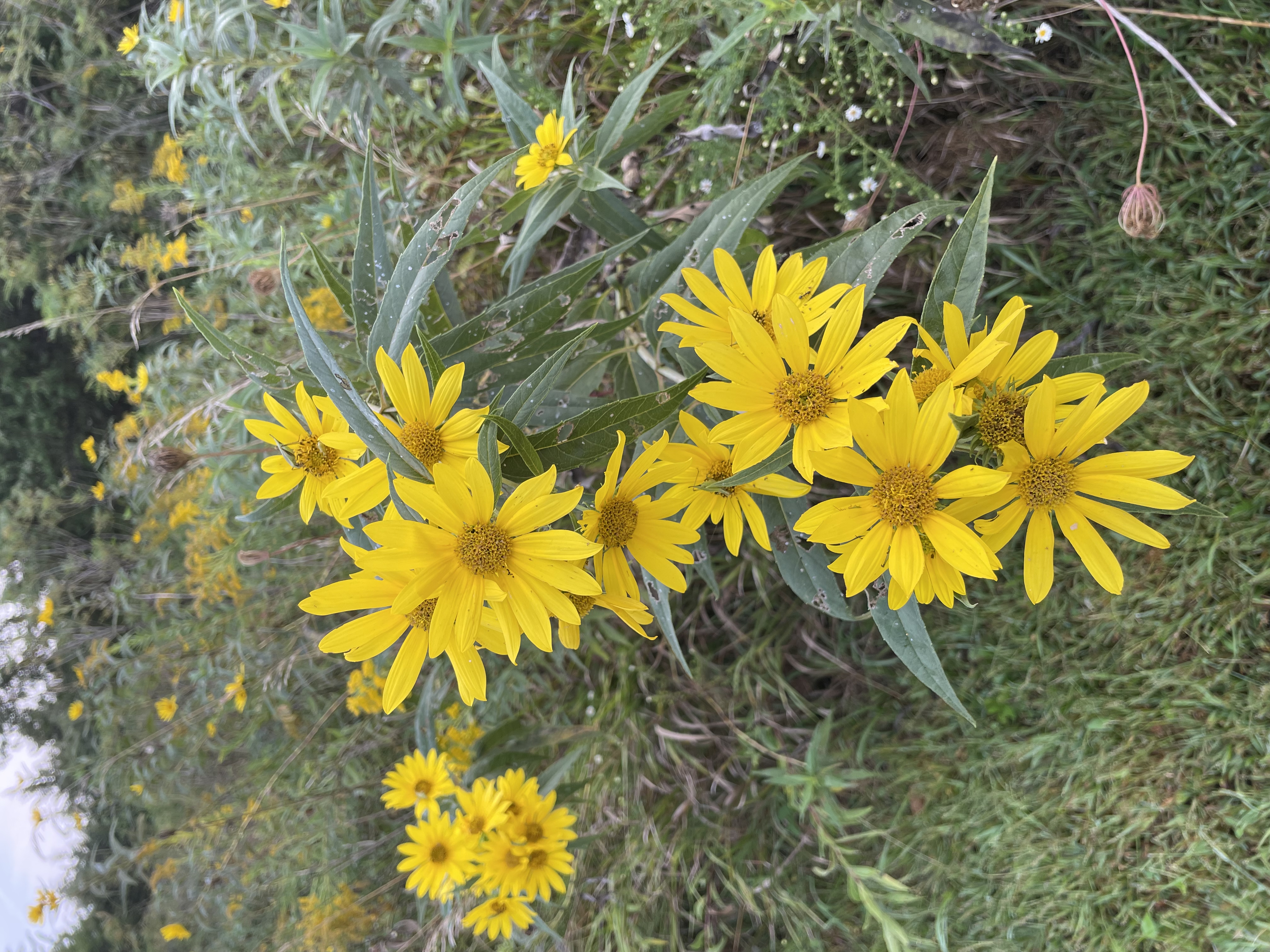 Green Valley State Park