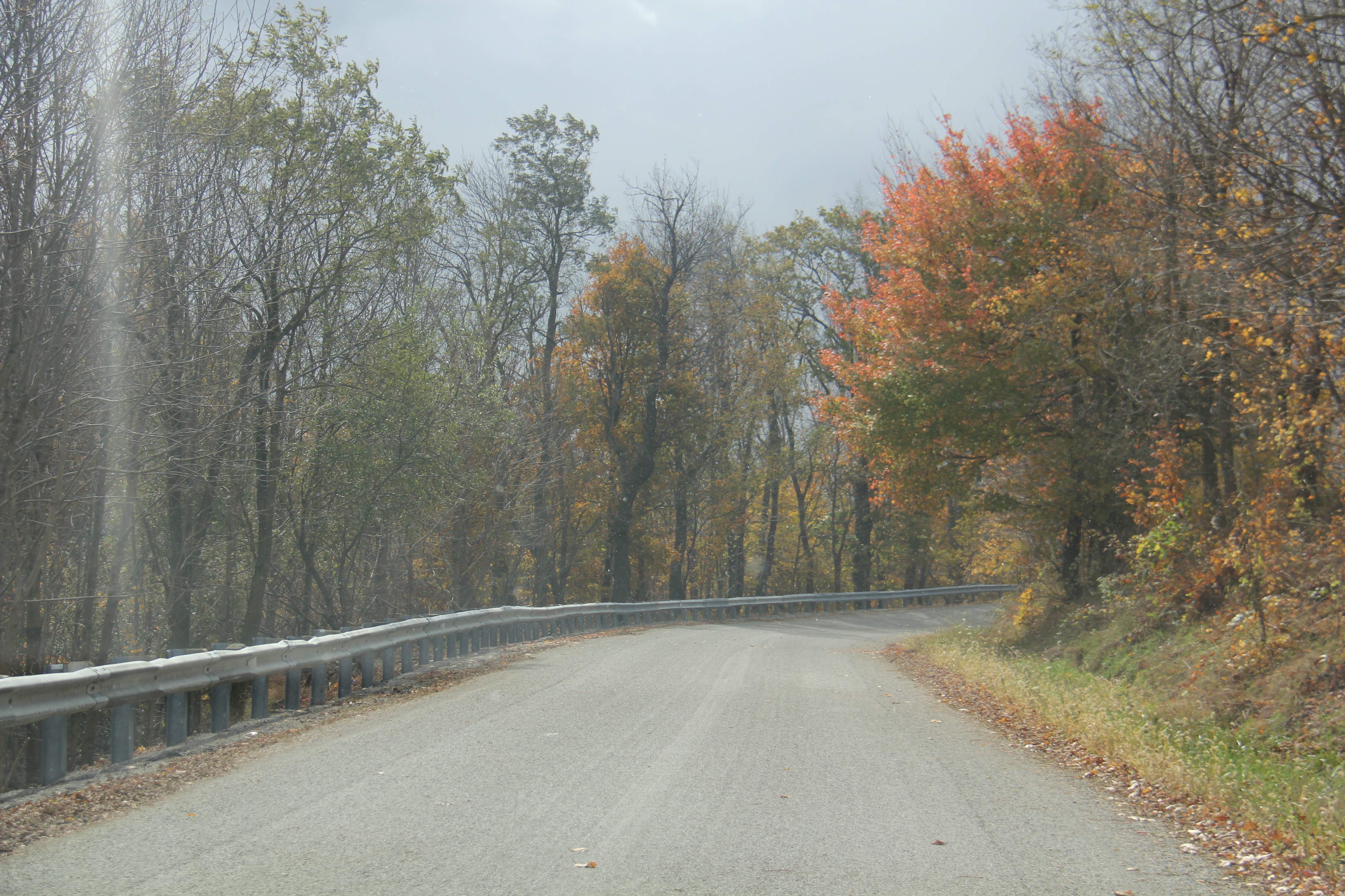 Laurel Ridge State Park
