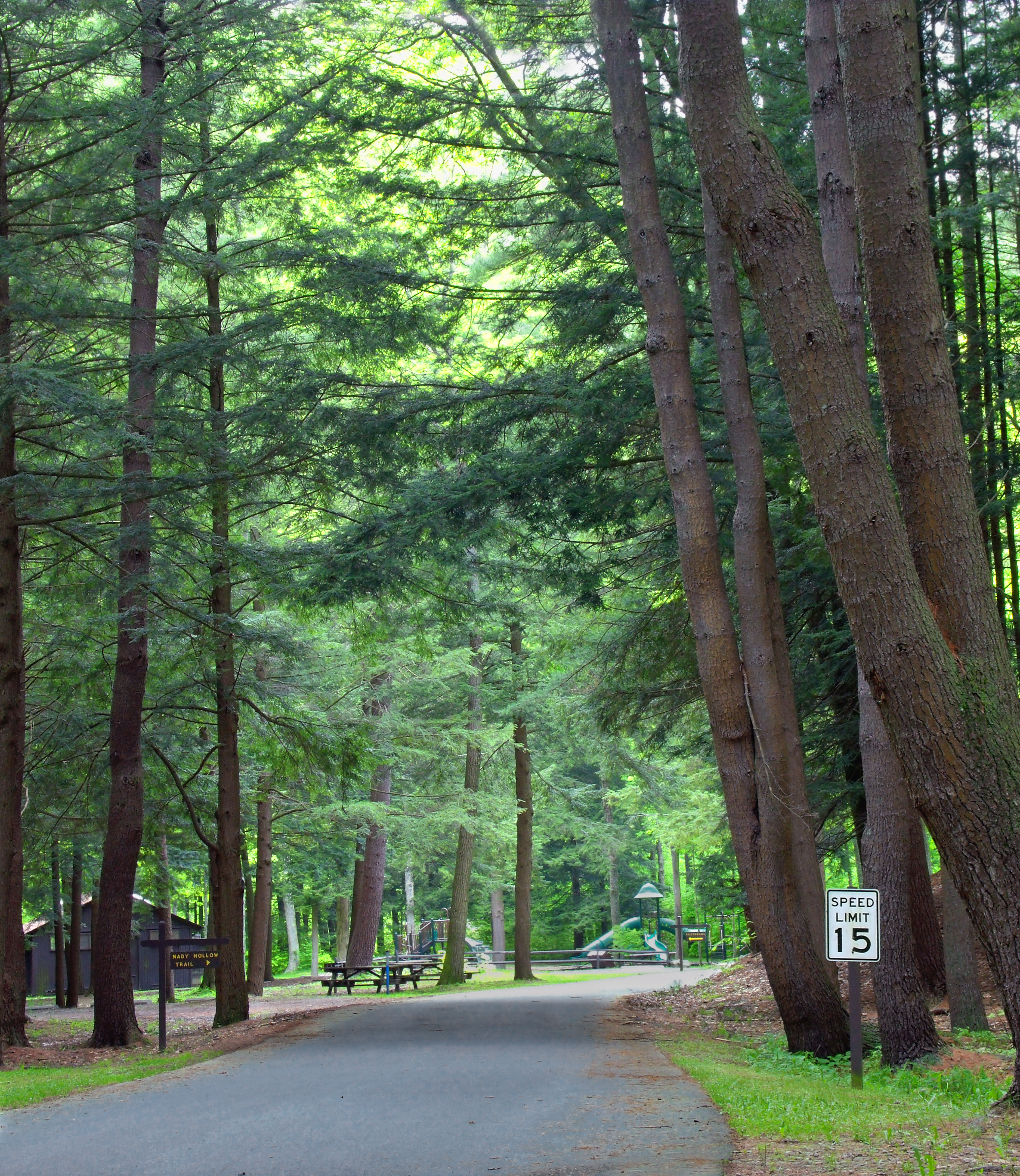 Sizerville State Park