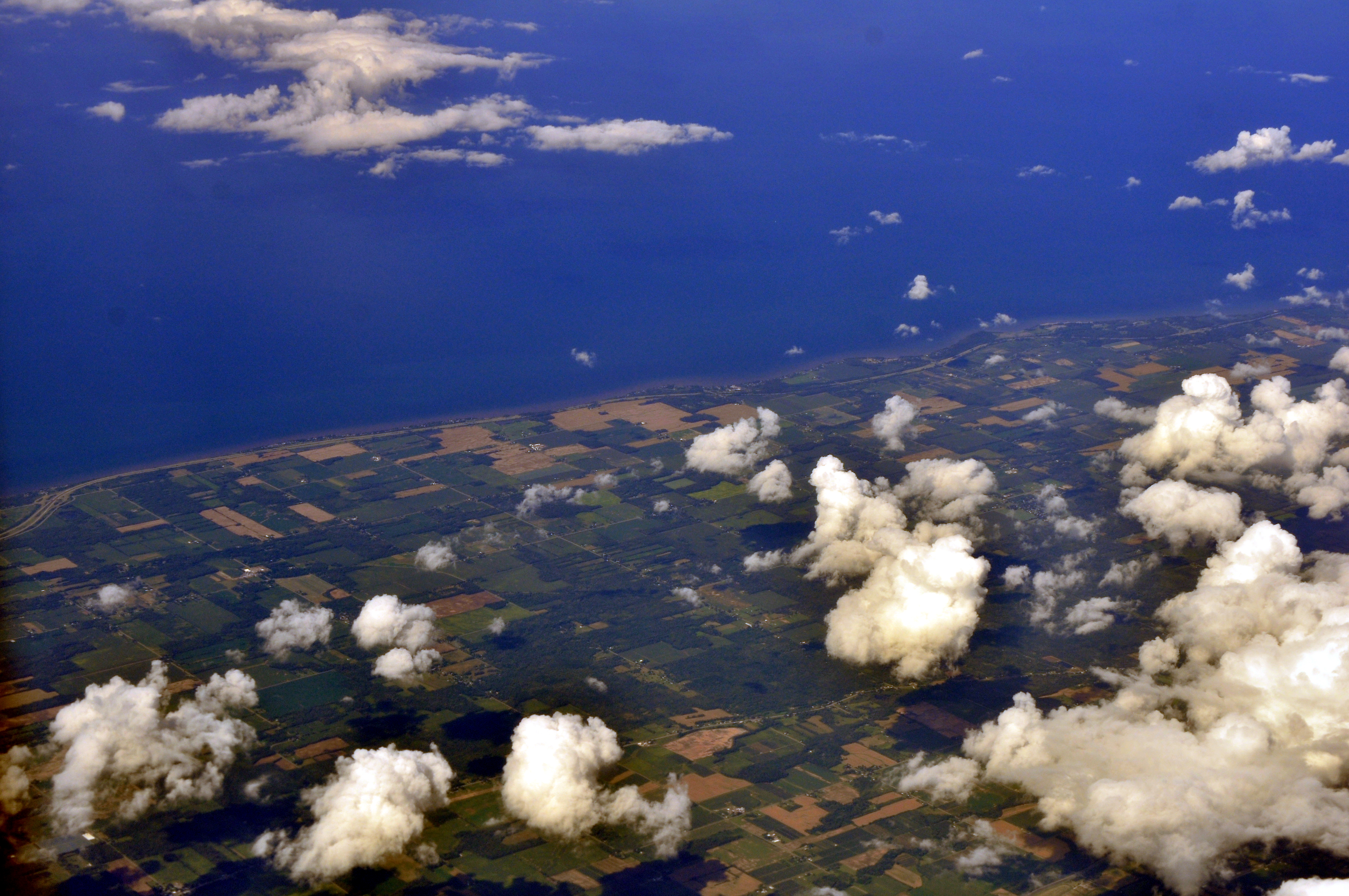 Wikimedia Commons