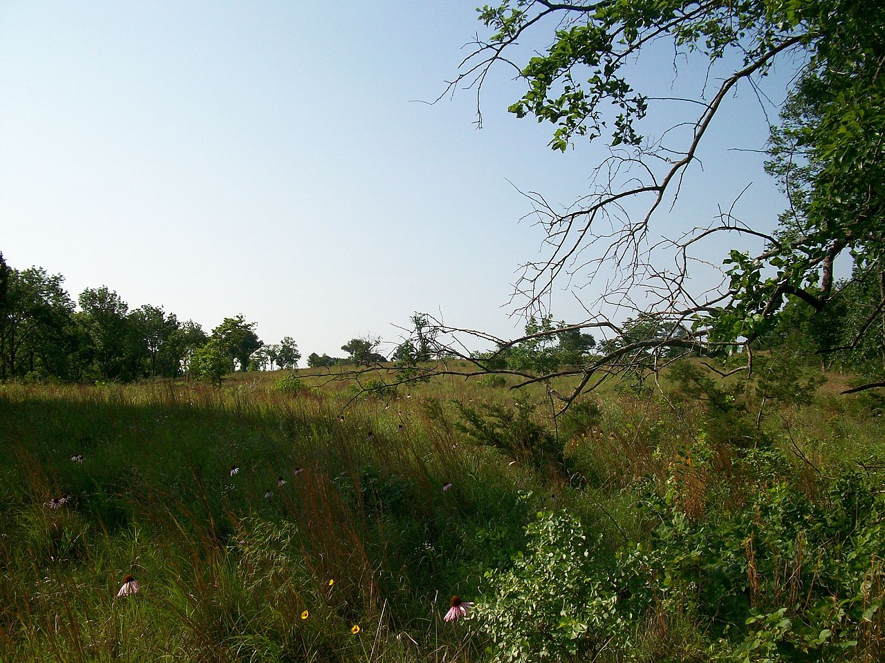 Central Group Camp (Chickasaw)
