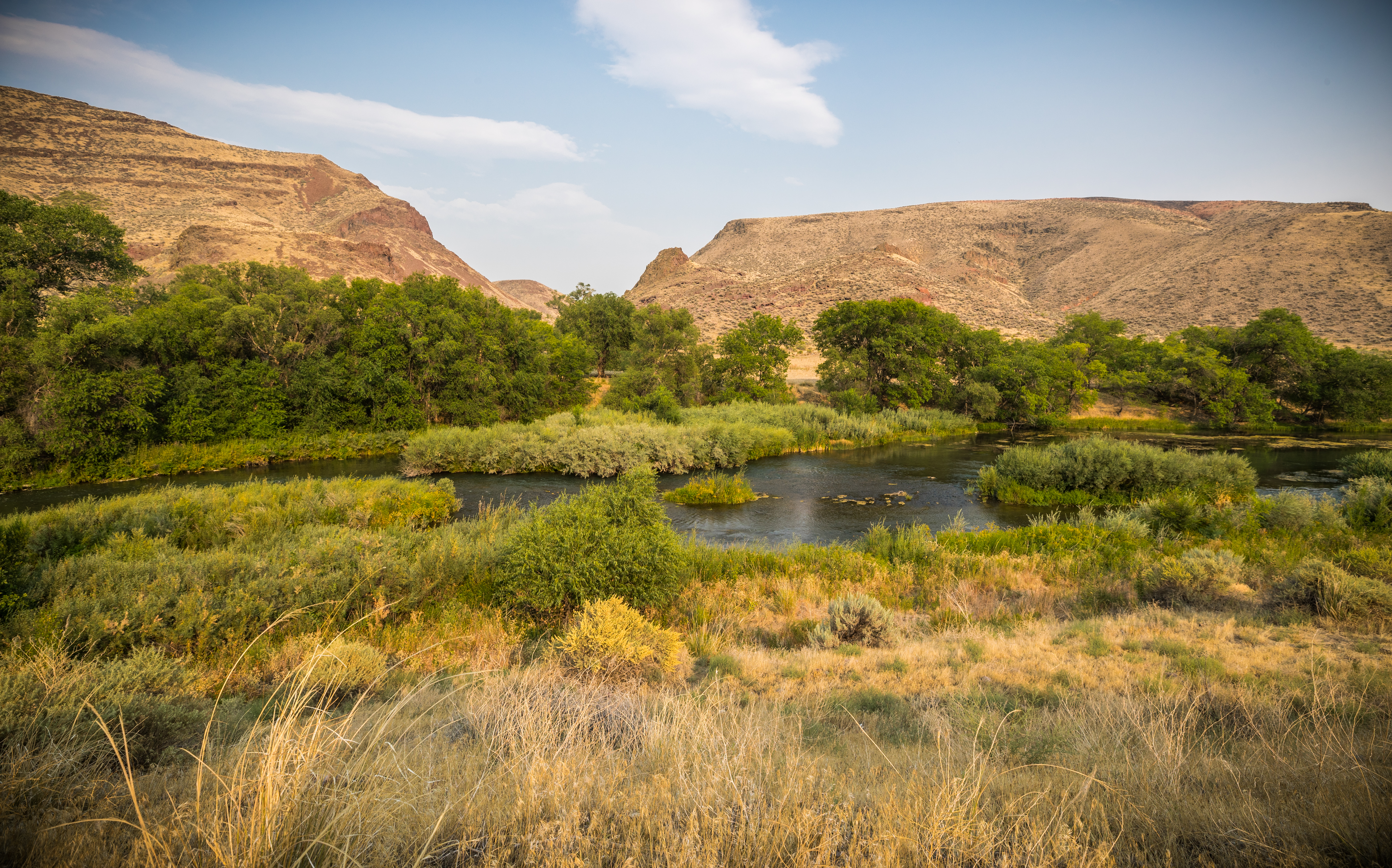 Lake Owyhee State Park