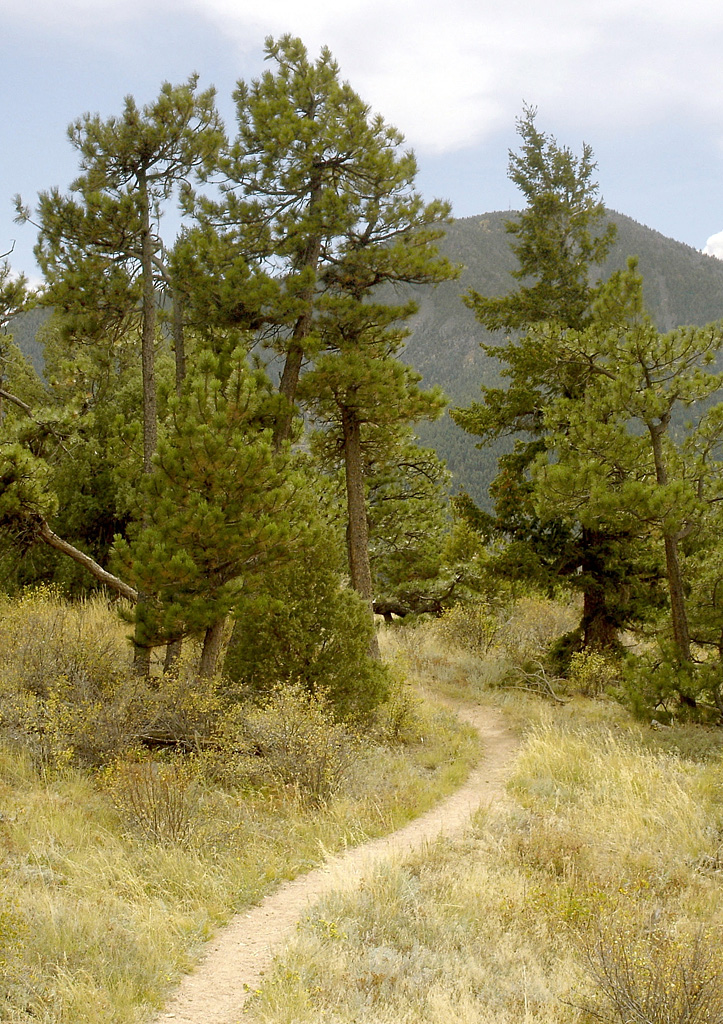 Eldorado Canyon Campground