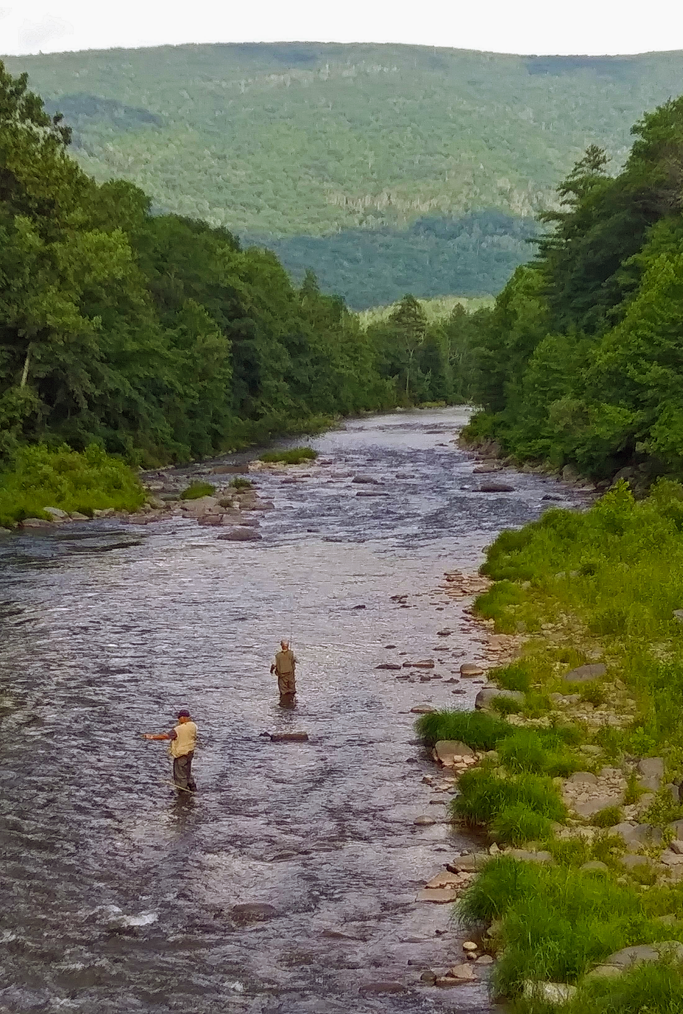 Woodland Valley