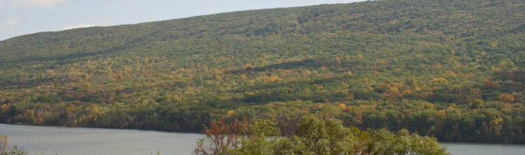 Bald Eagle State Park