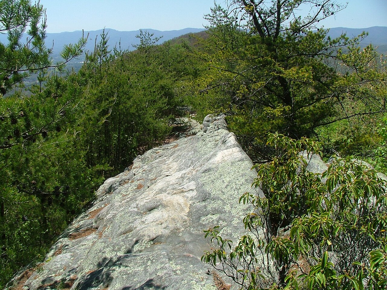 Wikimedia Commons