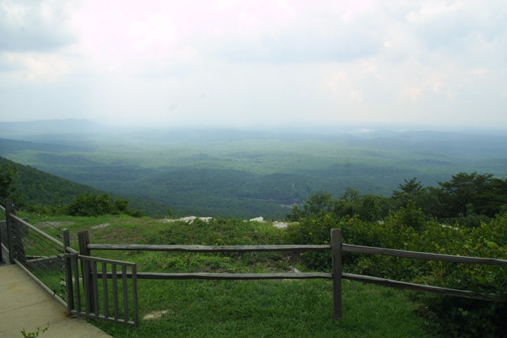 Wikimedia Commons