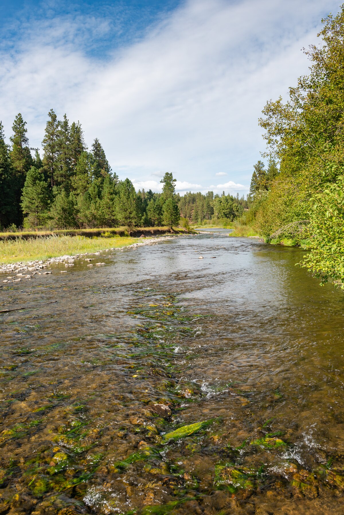 Bird Track Springs Campground