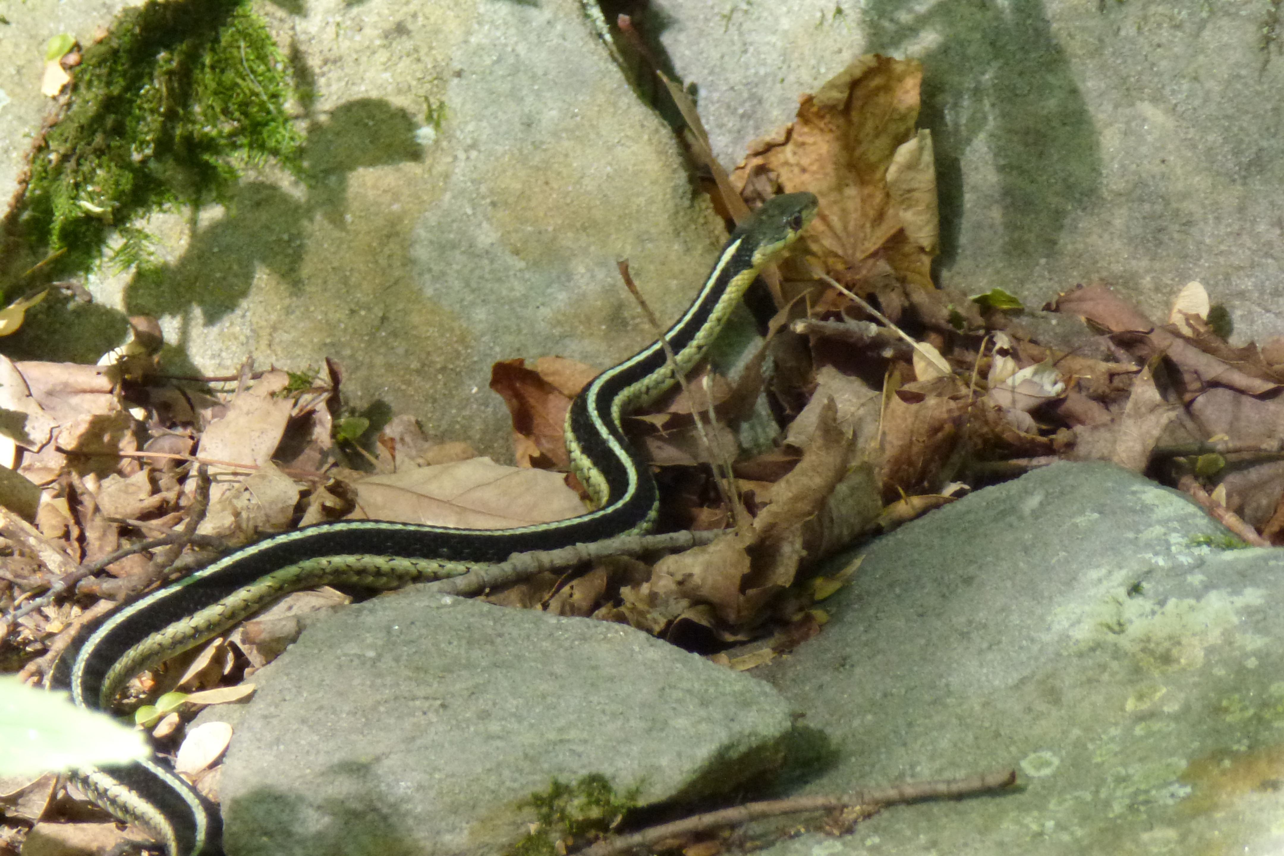 Wellesley Island State Park