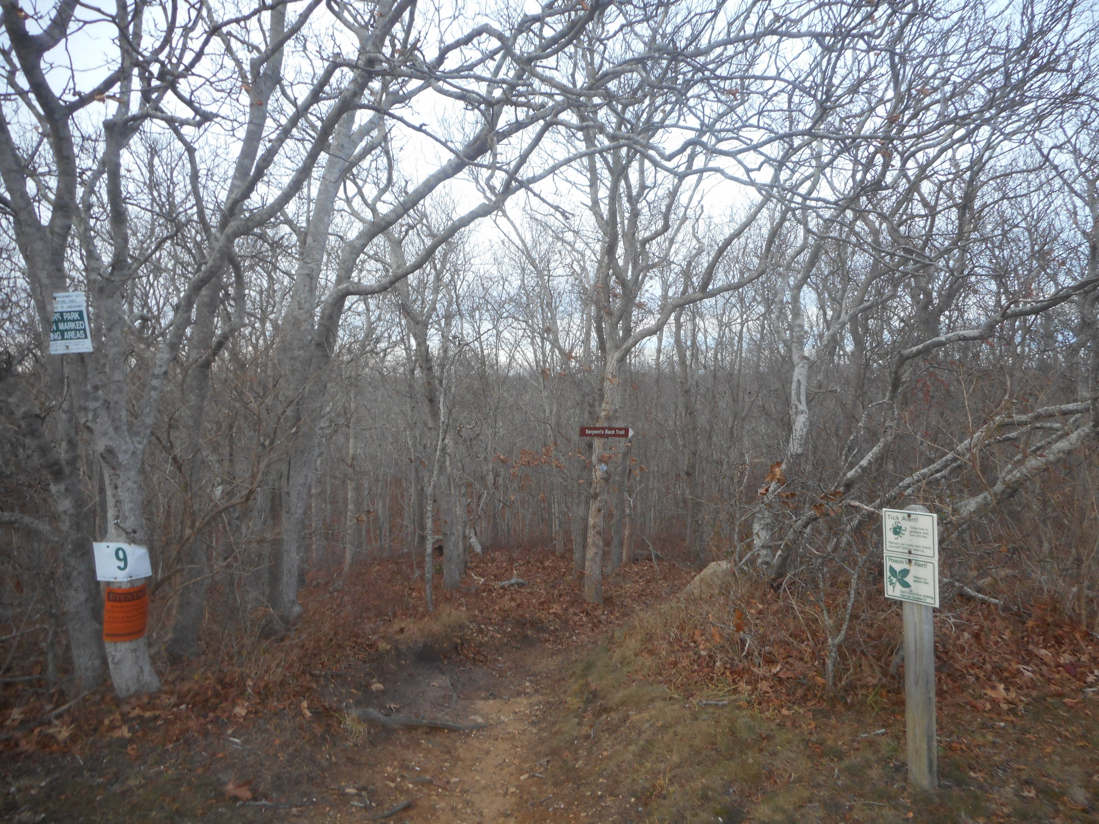 Hither Hills State Park