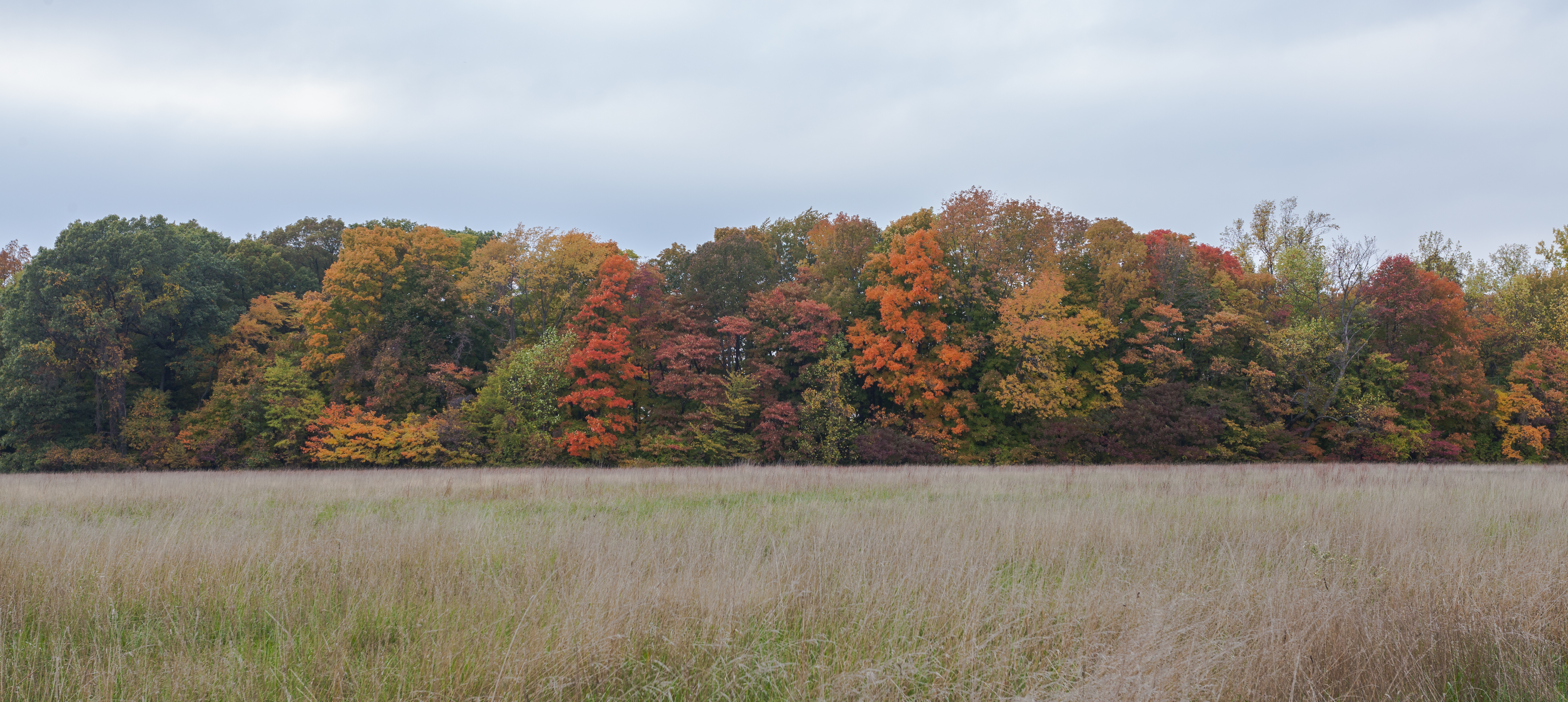 Brown County State Park