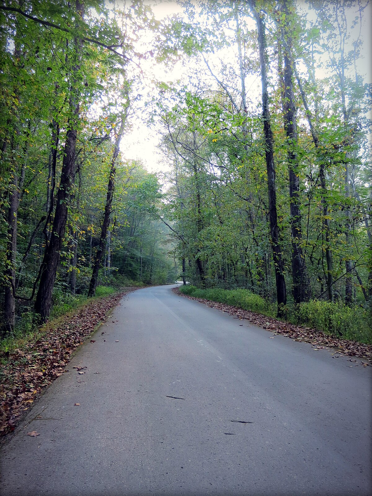 Bee Rock Campground
