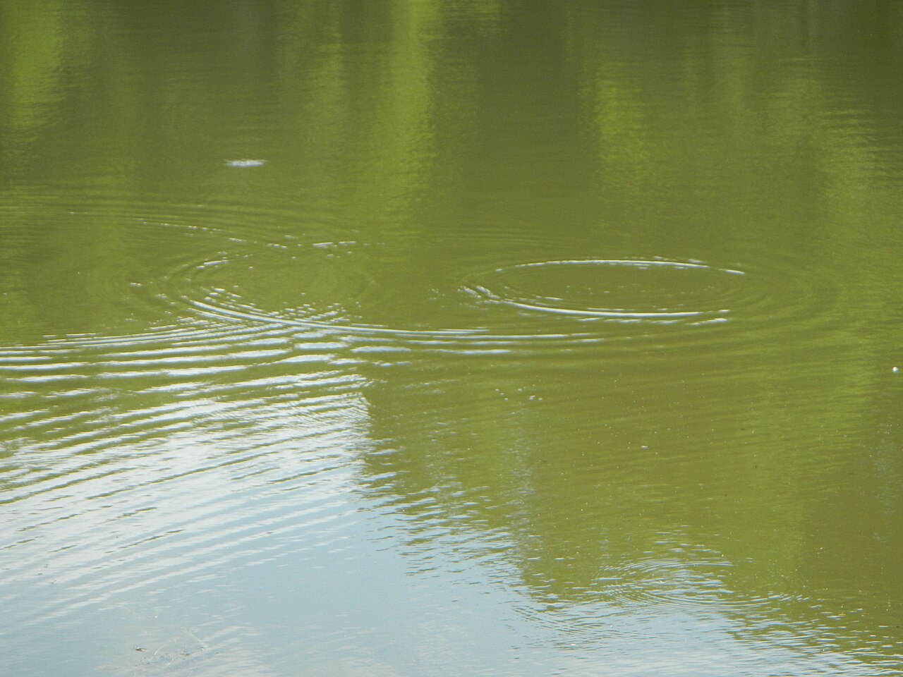 Kickapoo Campground