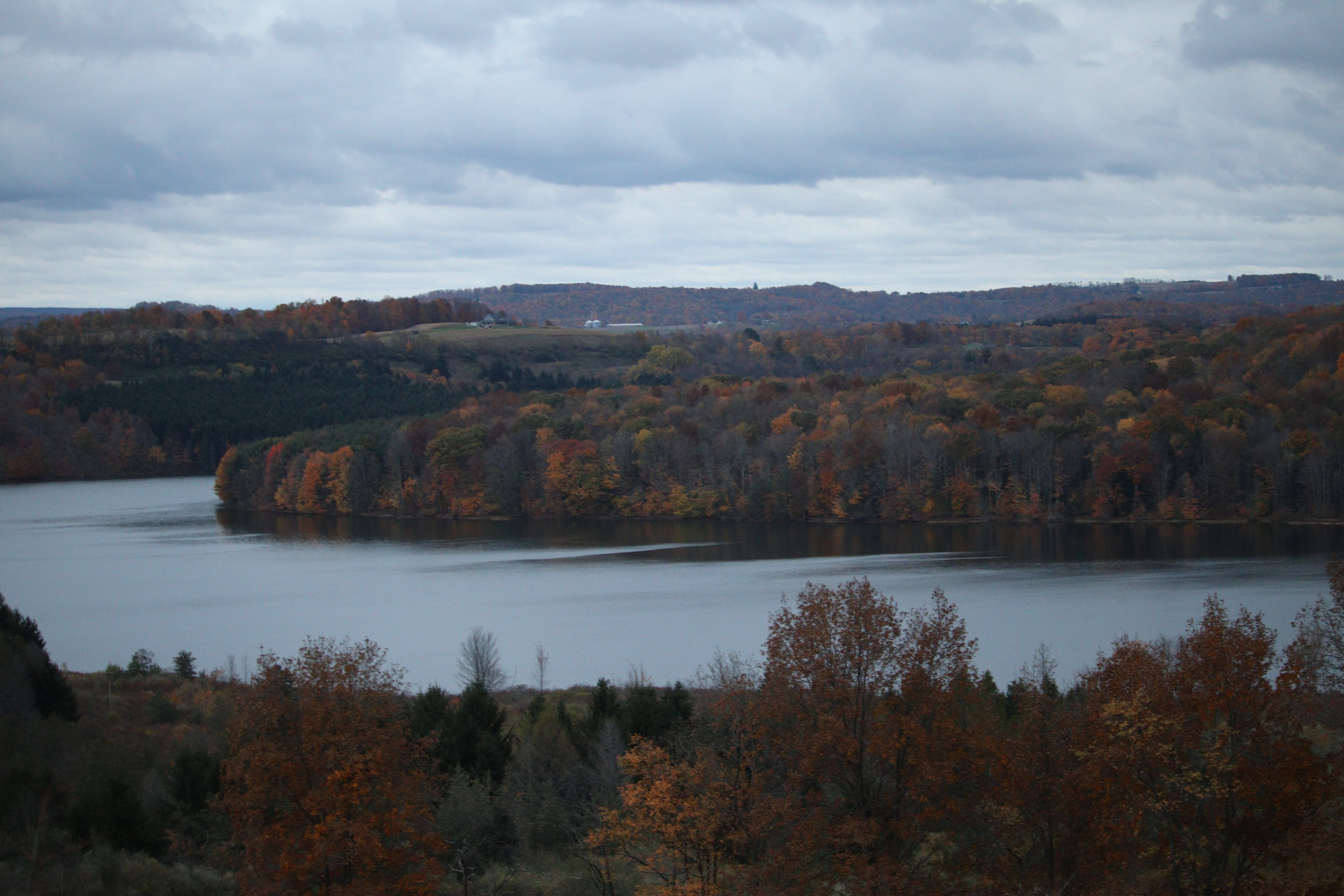 Wikimedia Commons