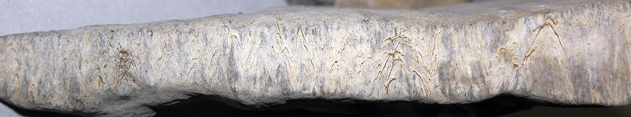 Alum Creek Group Campground