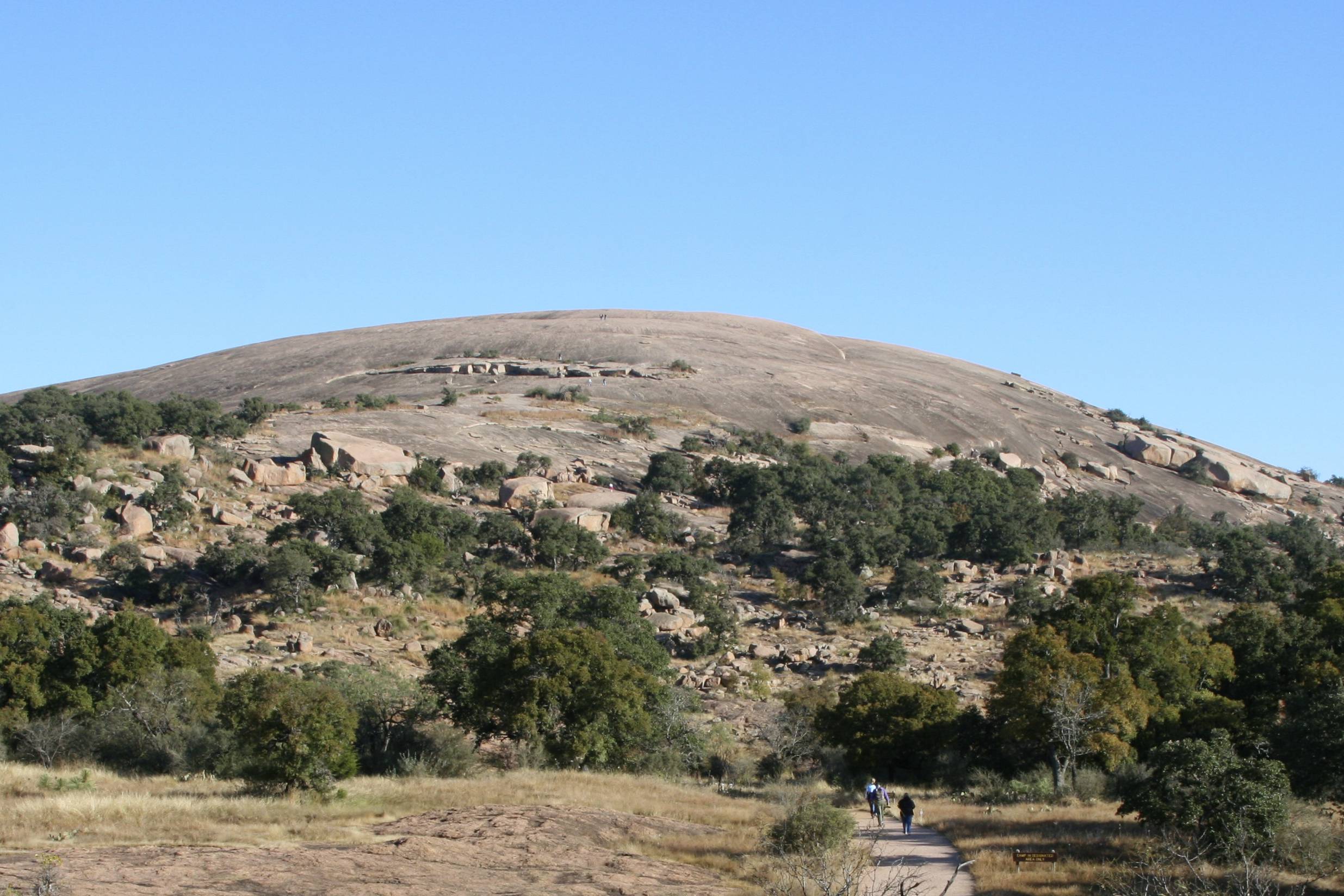 Wikimedia Commons