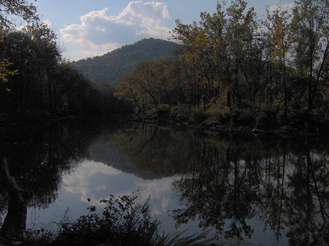 Wikimedia Commons
