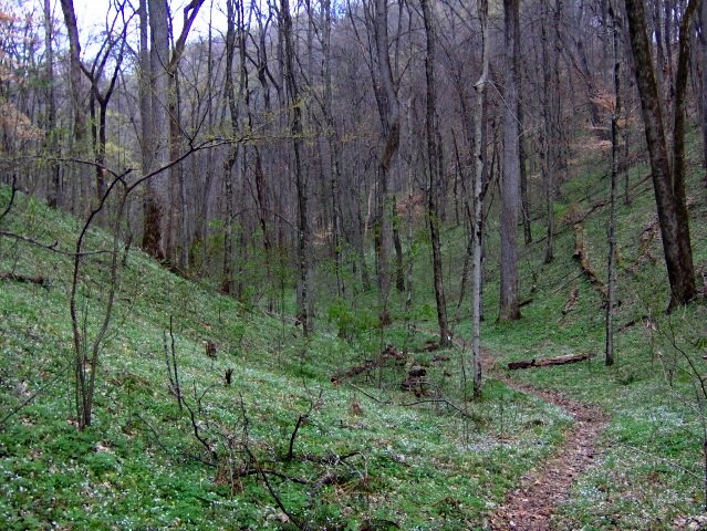 Edgar Evins State Park