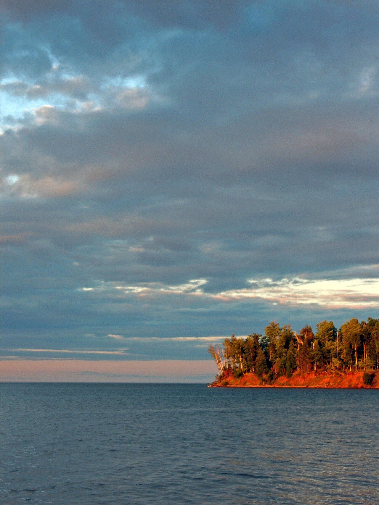 Wikimedia Commons