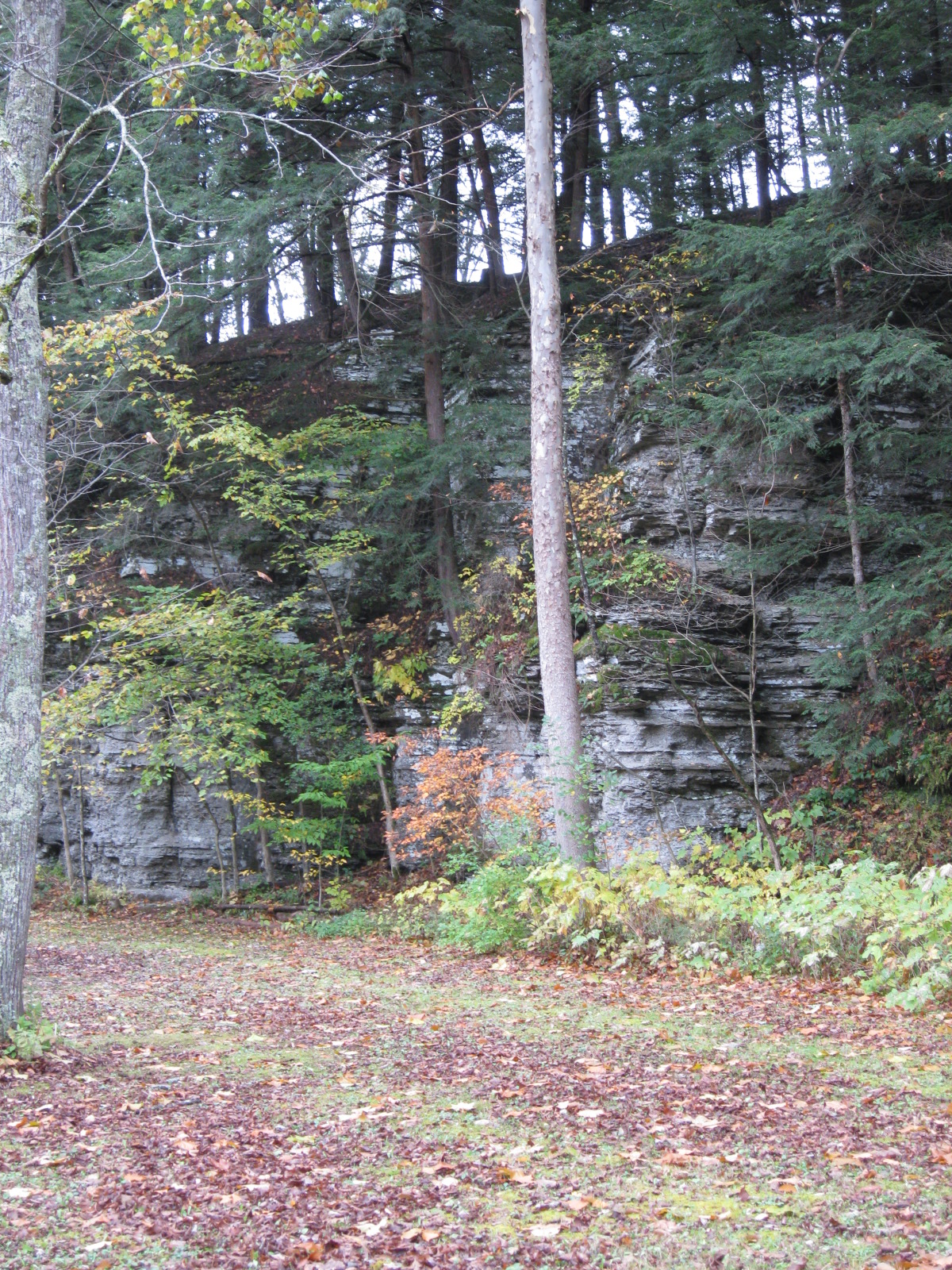 Wikimedia Commons