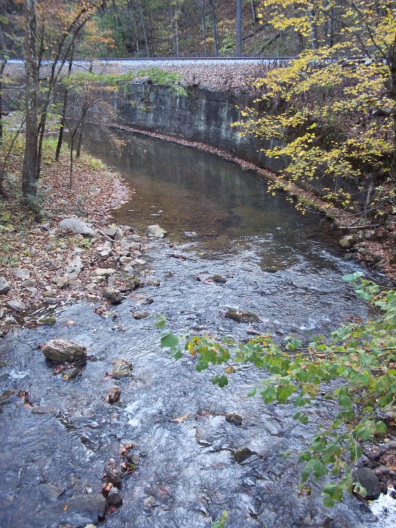 Cove View Campground