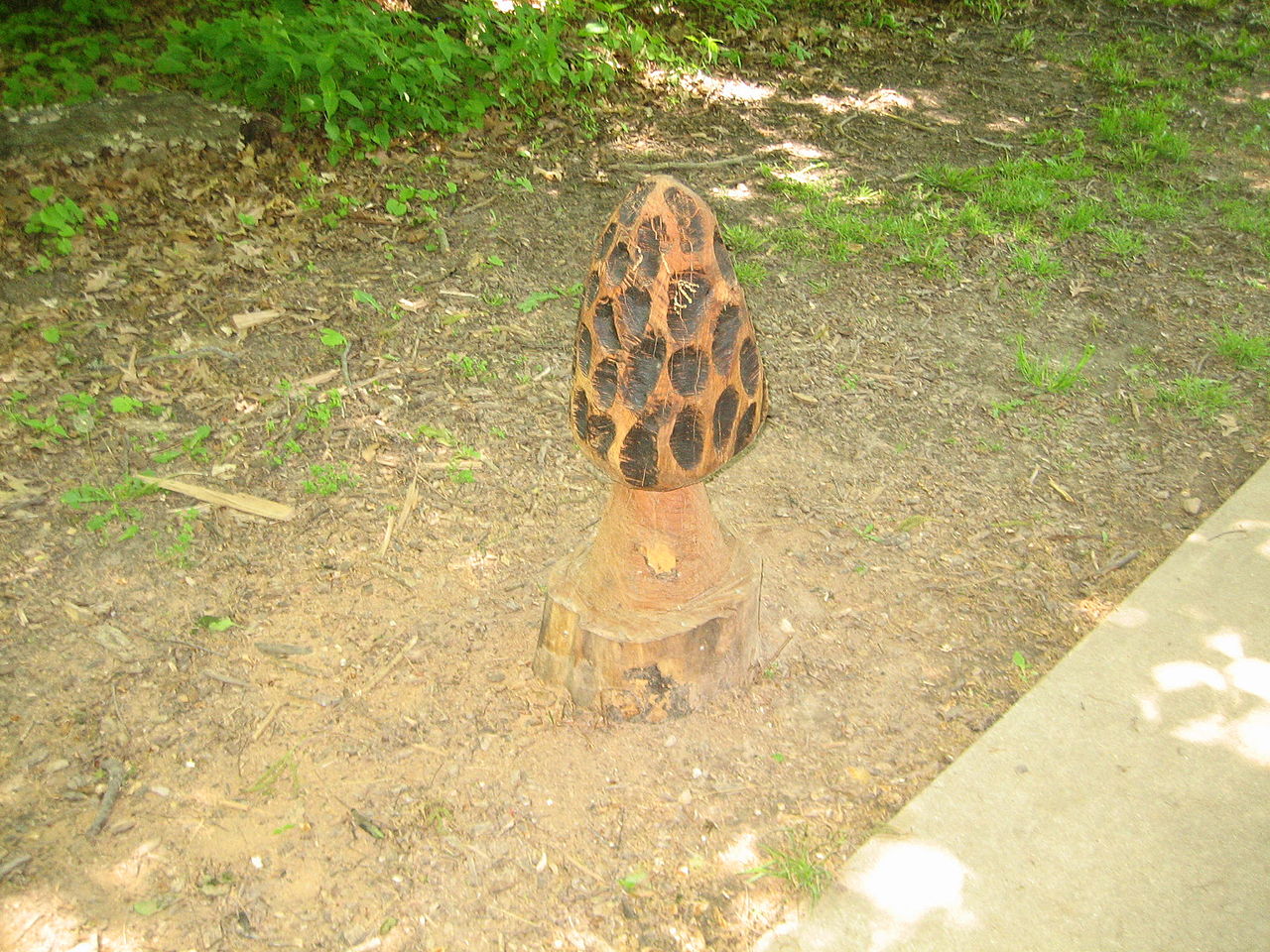 Lowden Campground