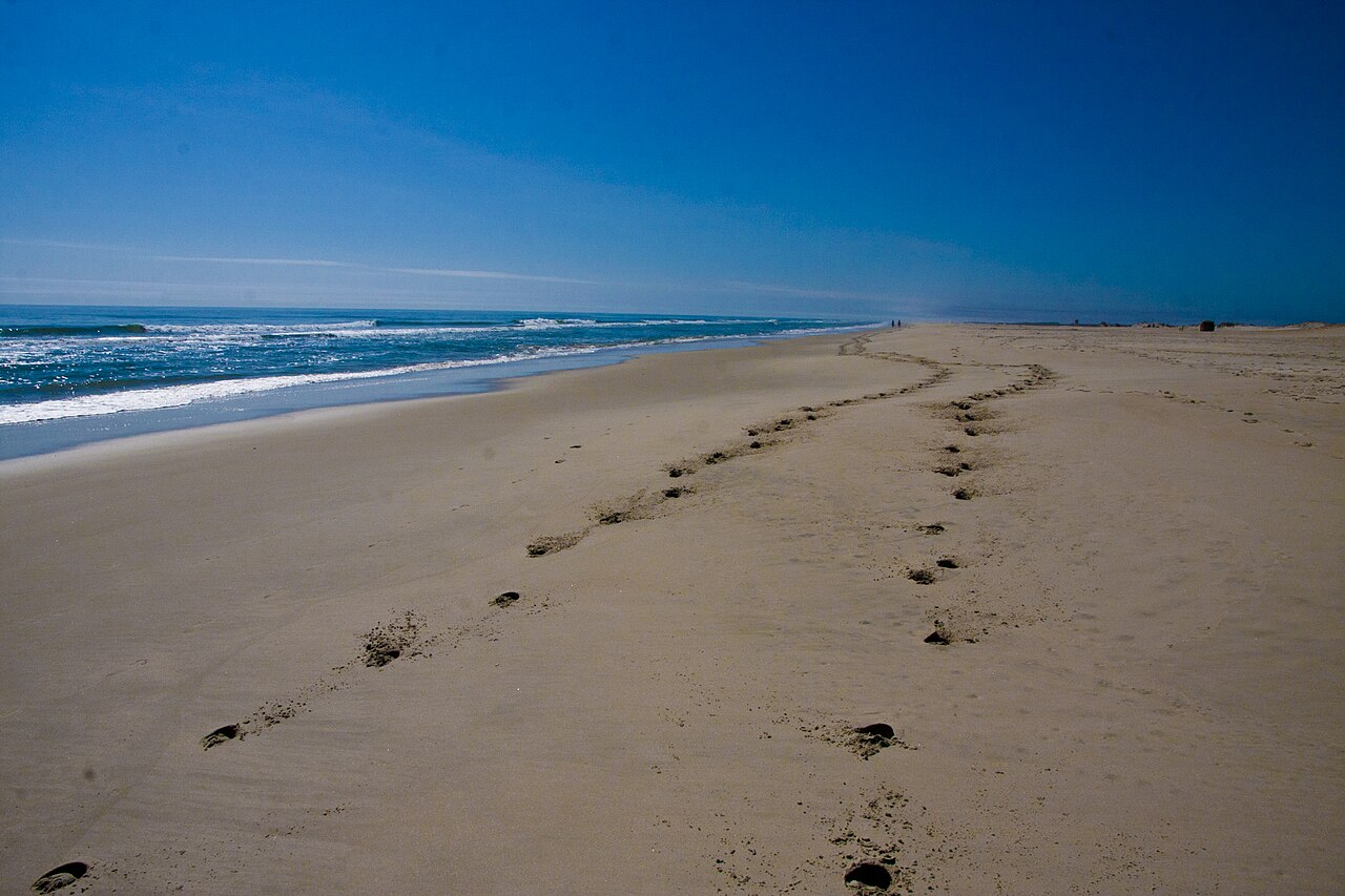 Assateague State Park
