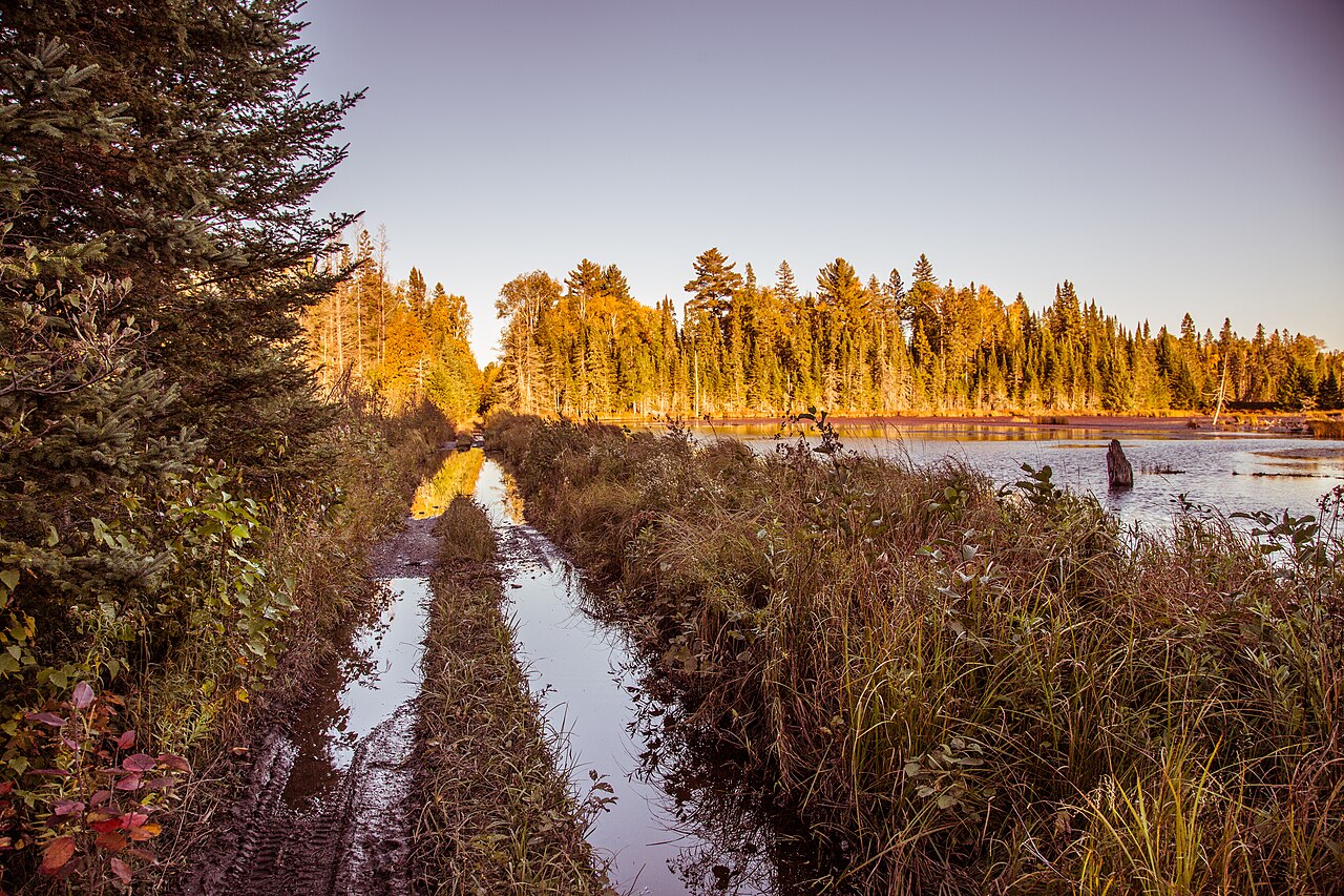 King Lake State Forest Campground