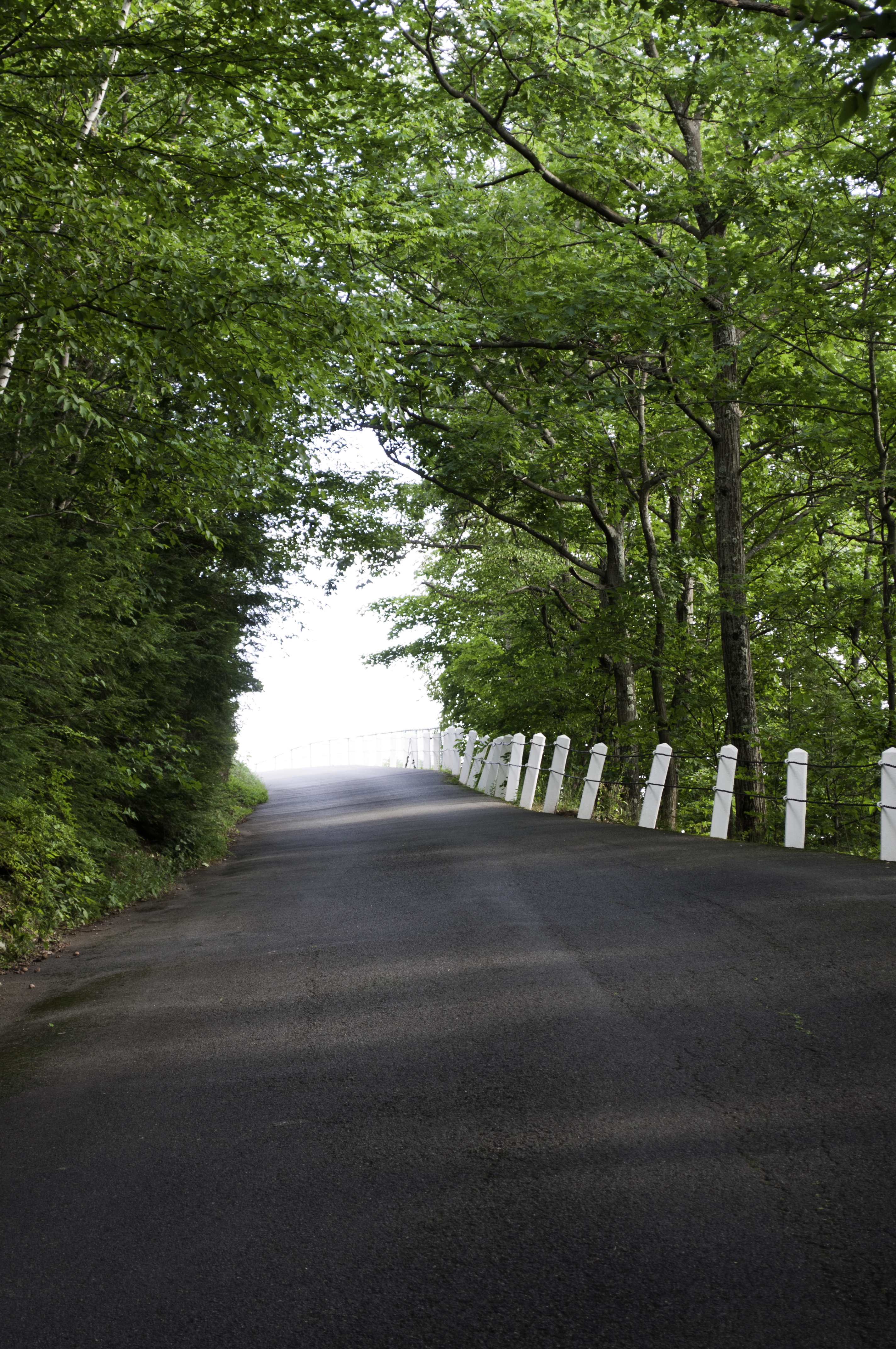 Mt. Sugarloaf State Reservation