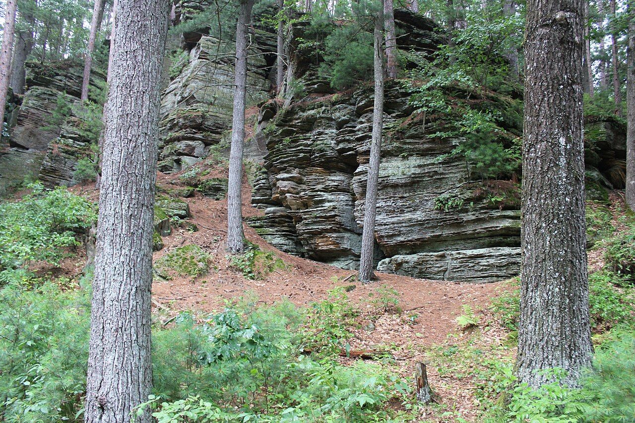 Wikimedia Commons