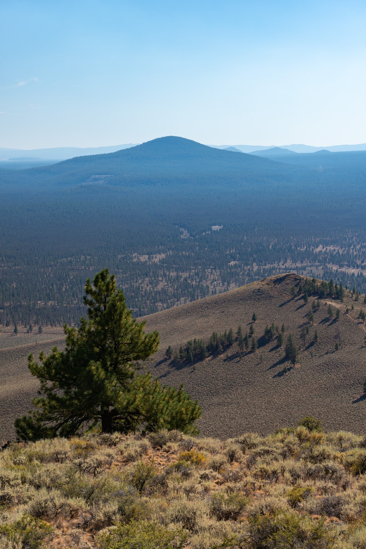 Pine Mountain Campground