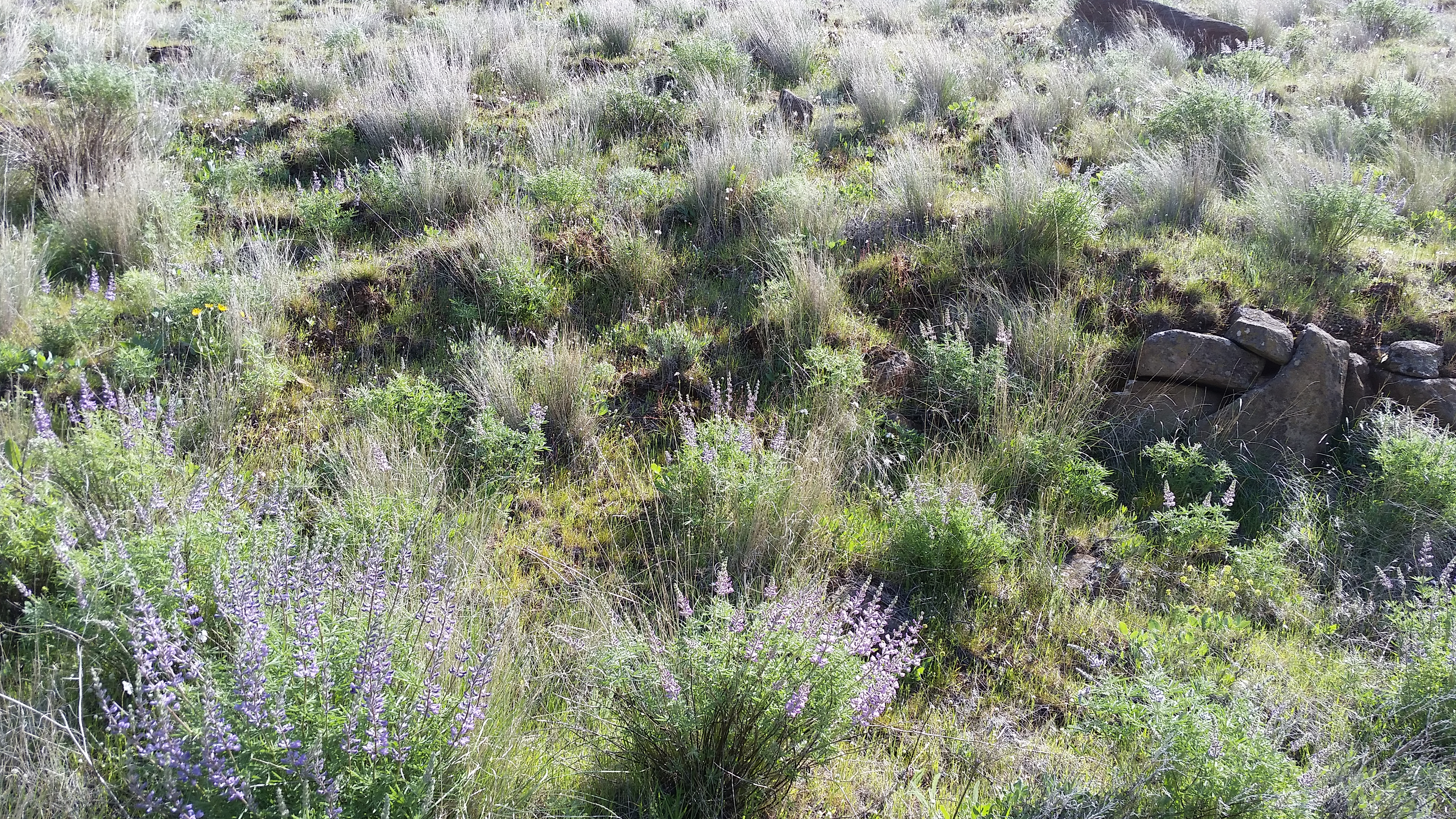 Deschutes River State Recreation Area
