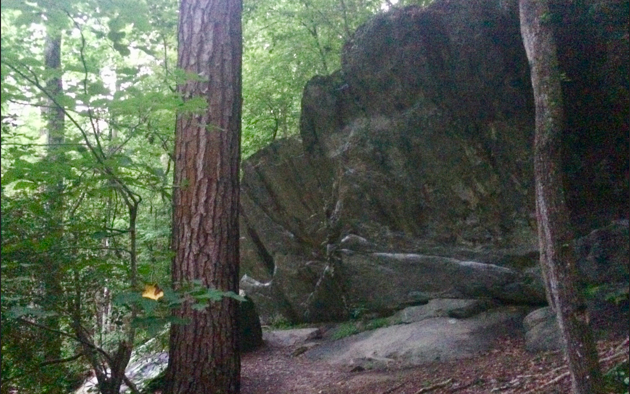 Wikimedia Commons