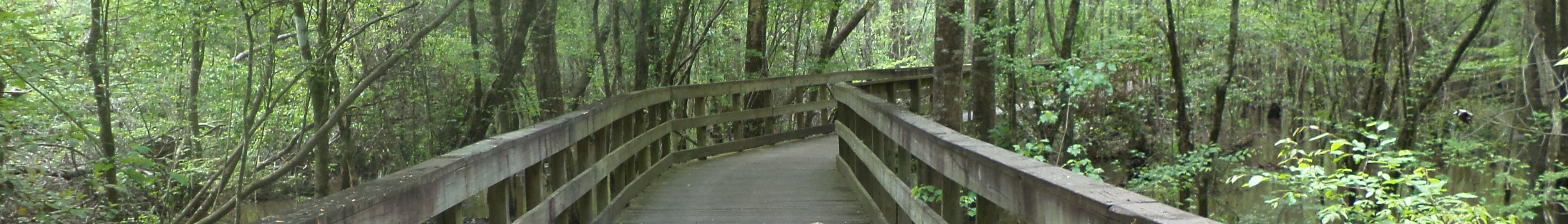 Reed Bingham State Park