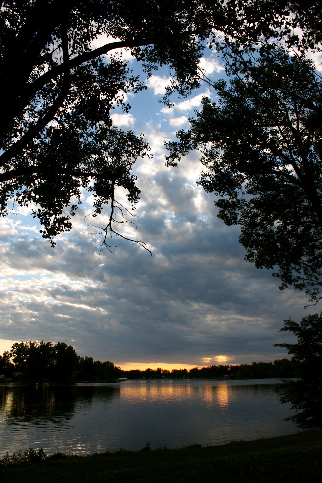Wikimedia Commons