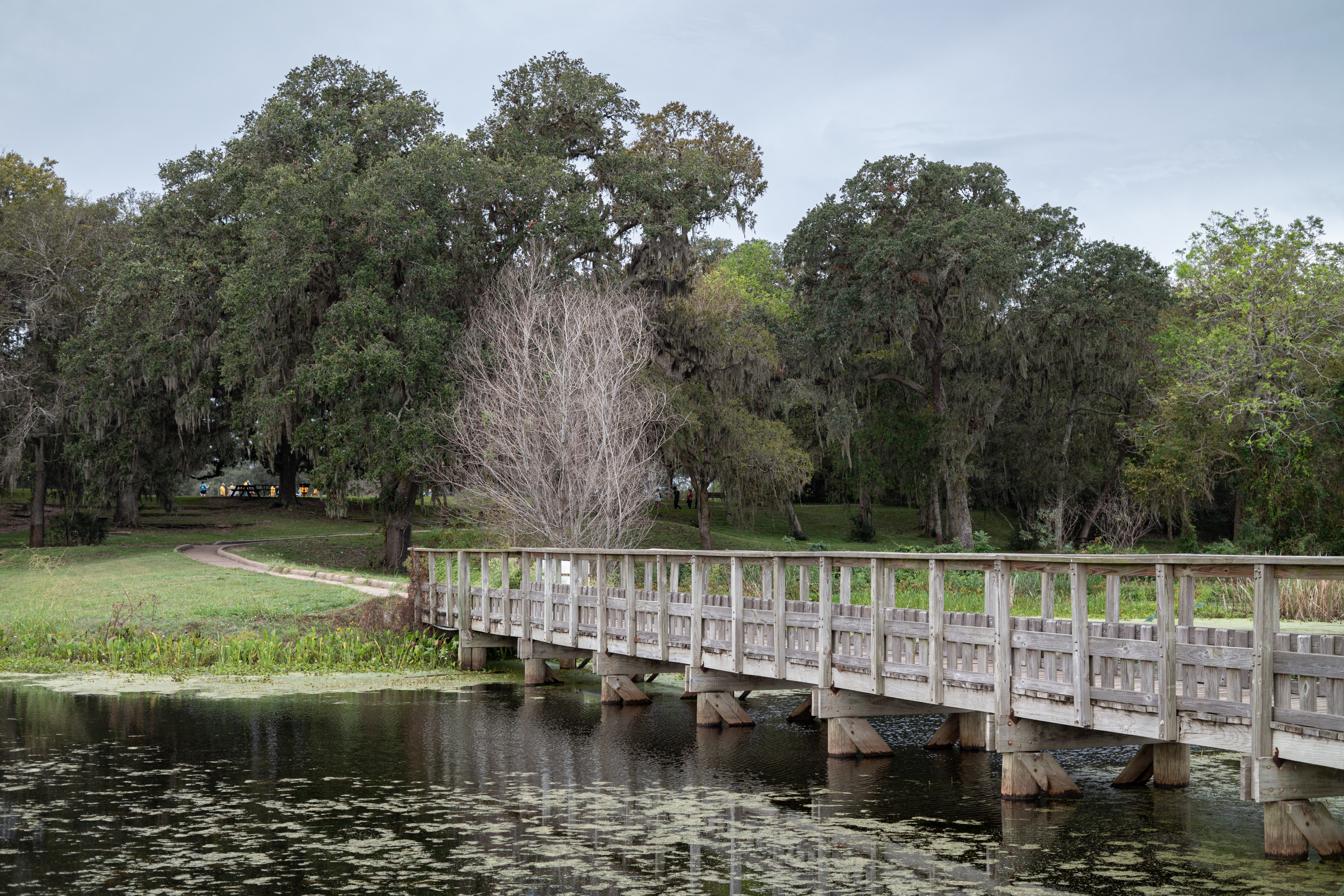 Brazos Bend State Park