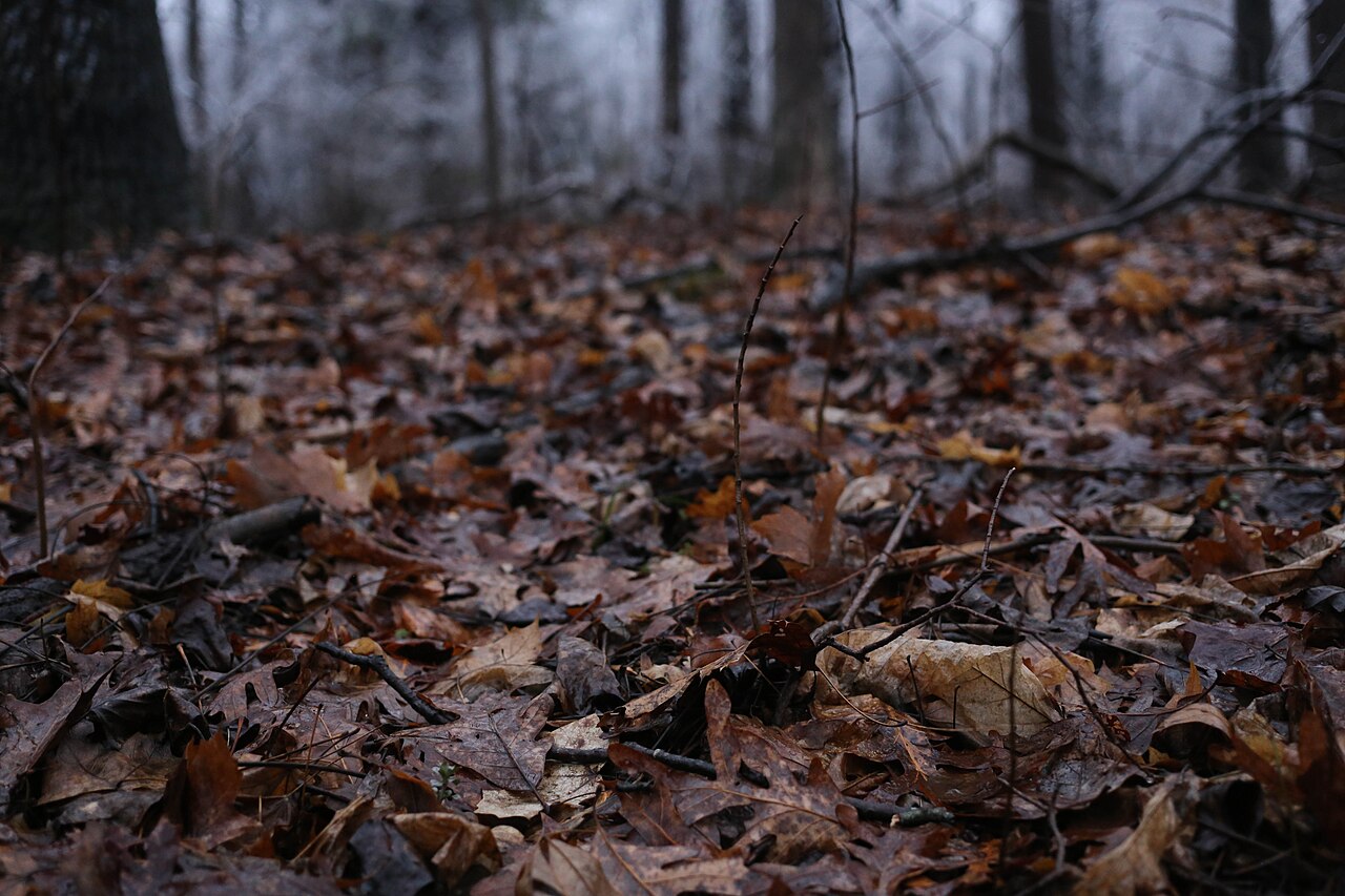 Giant City Campground
