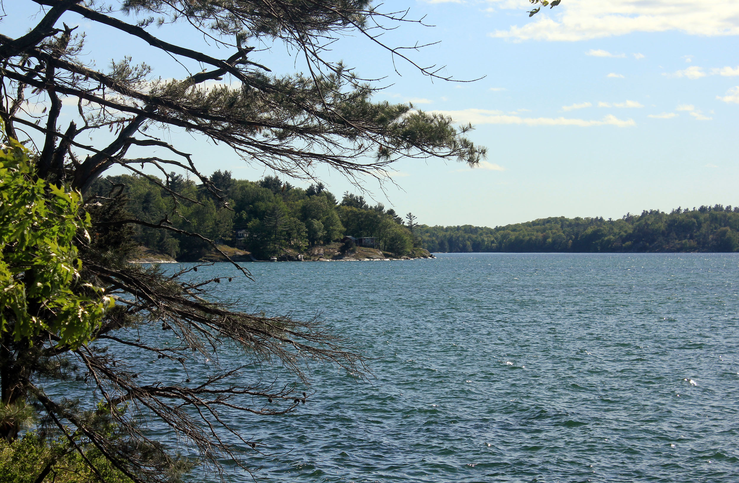 Wellesley Island State Park