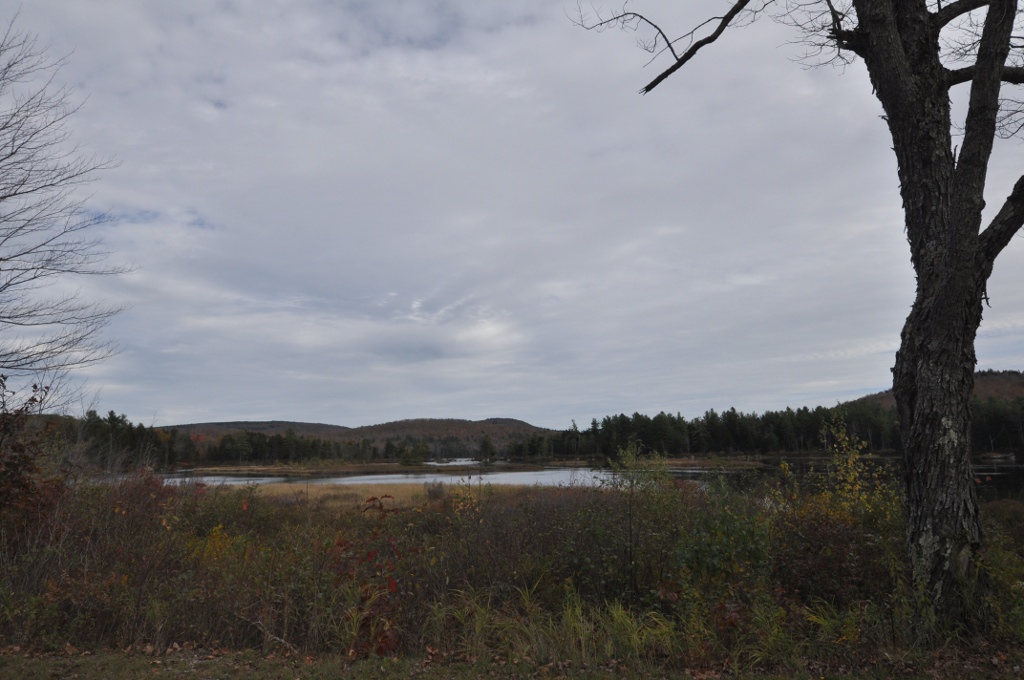 Pillsbury State Park