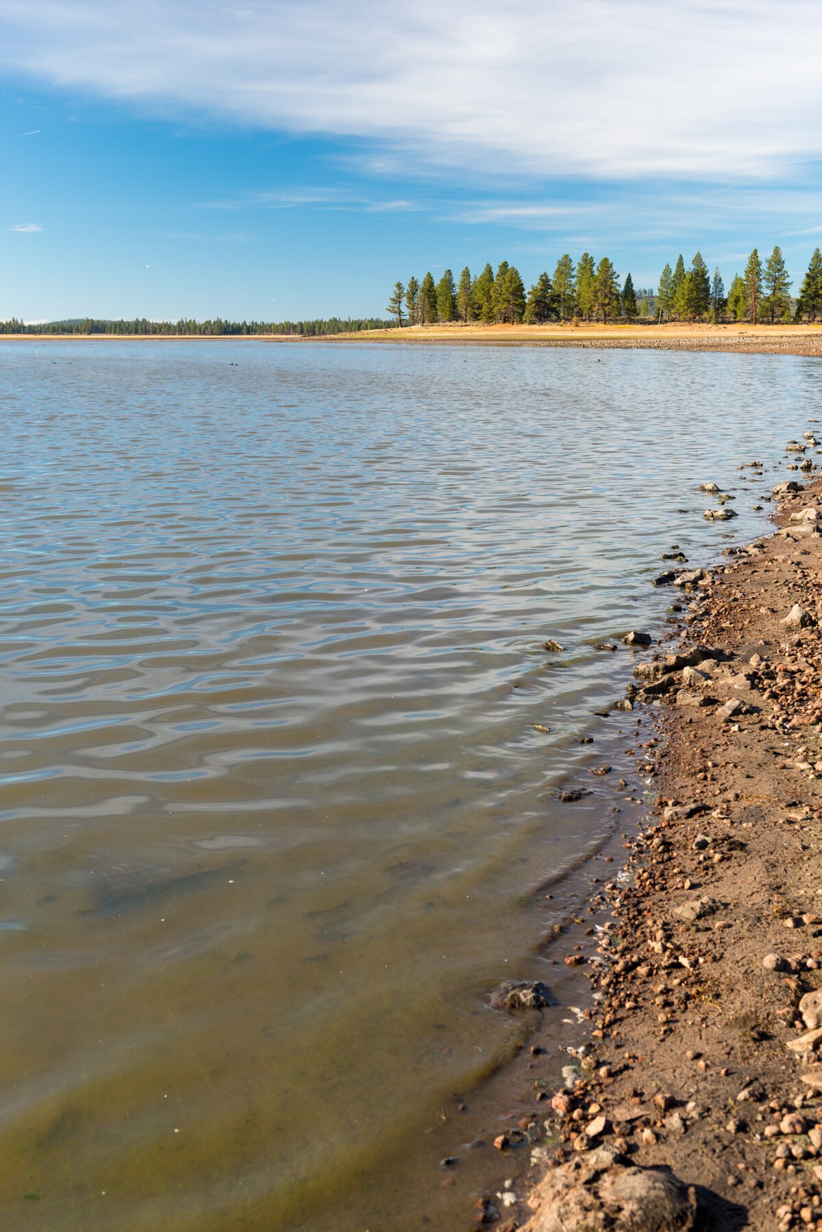 Thompson Reservoir Campground