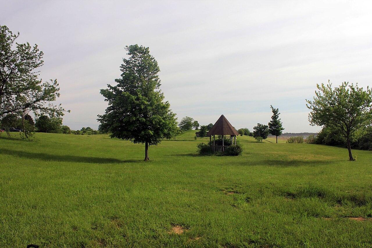 Wikimedia Commons