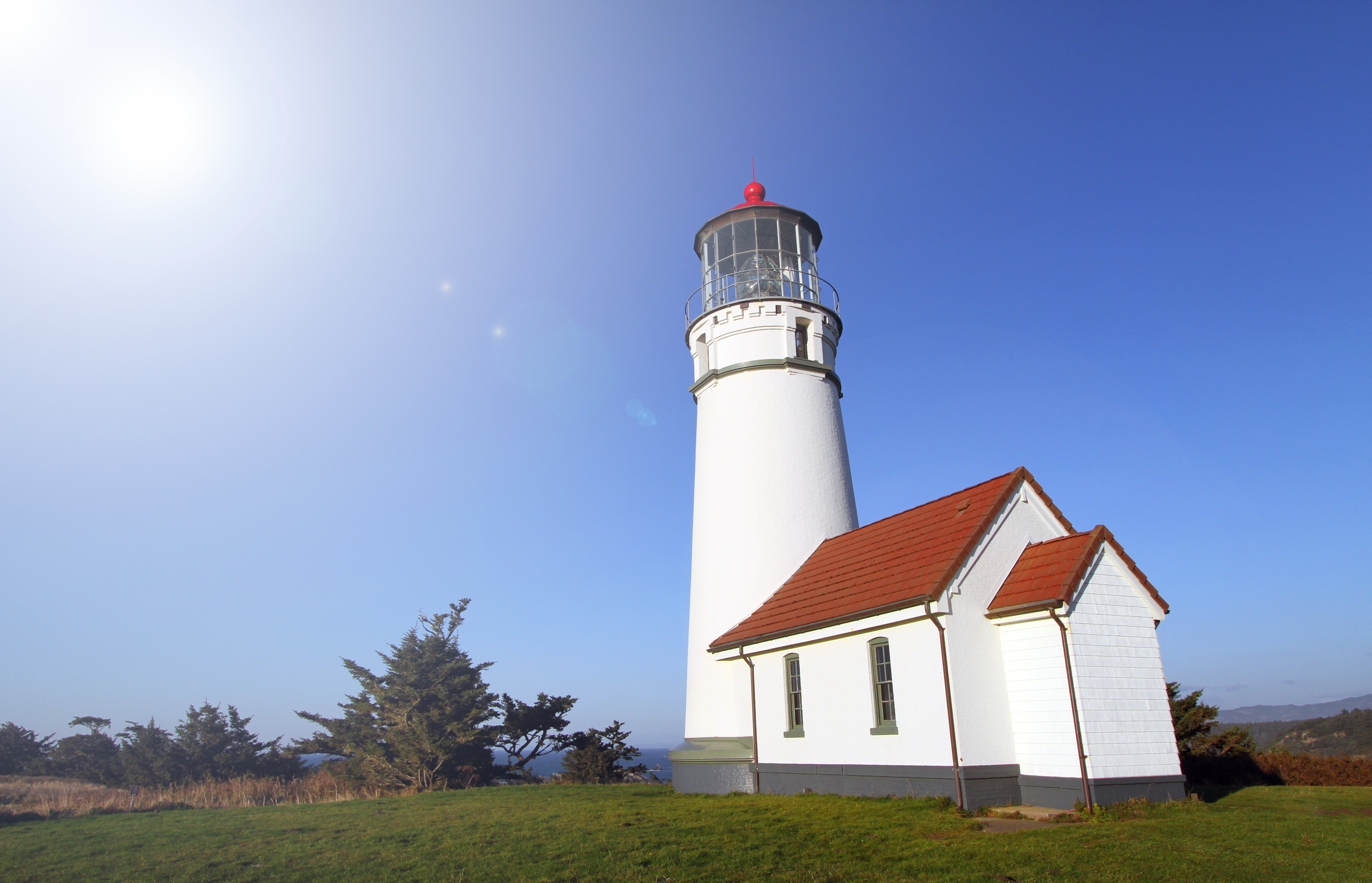 Wikimedia Commons