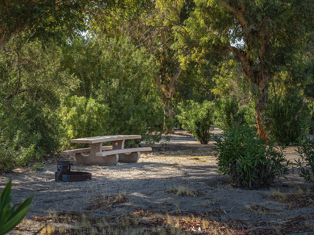 Cottonwood Cove Rv Park
