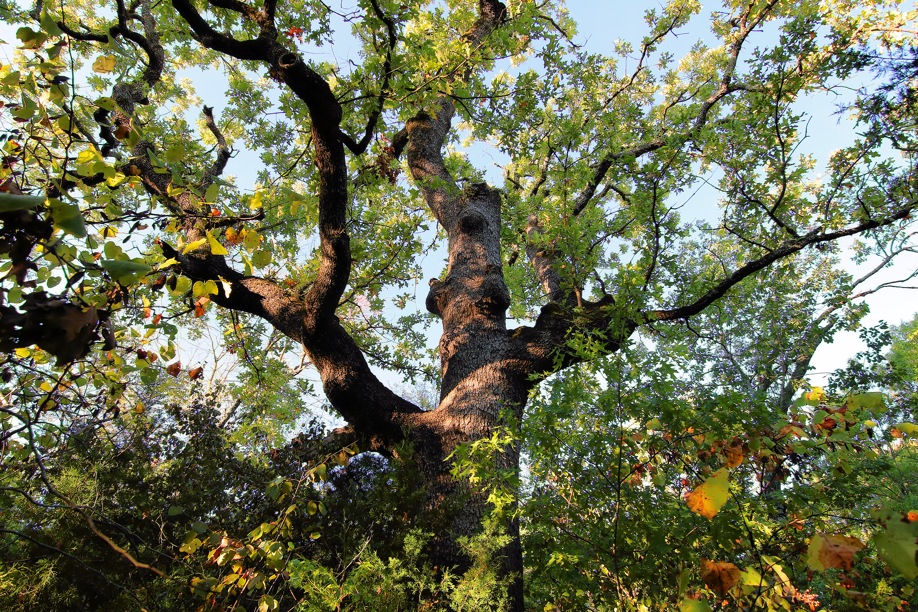Eisenhower State Park