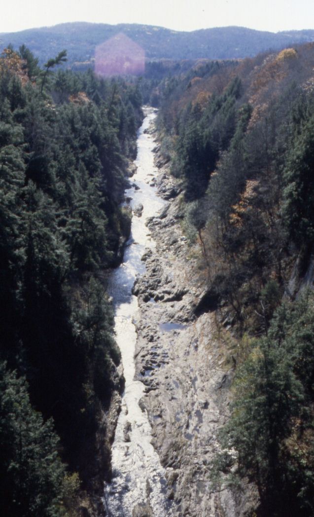 Wikimedia Commons