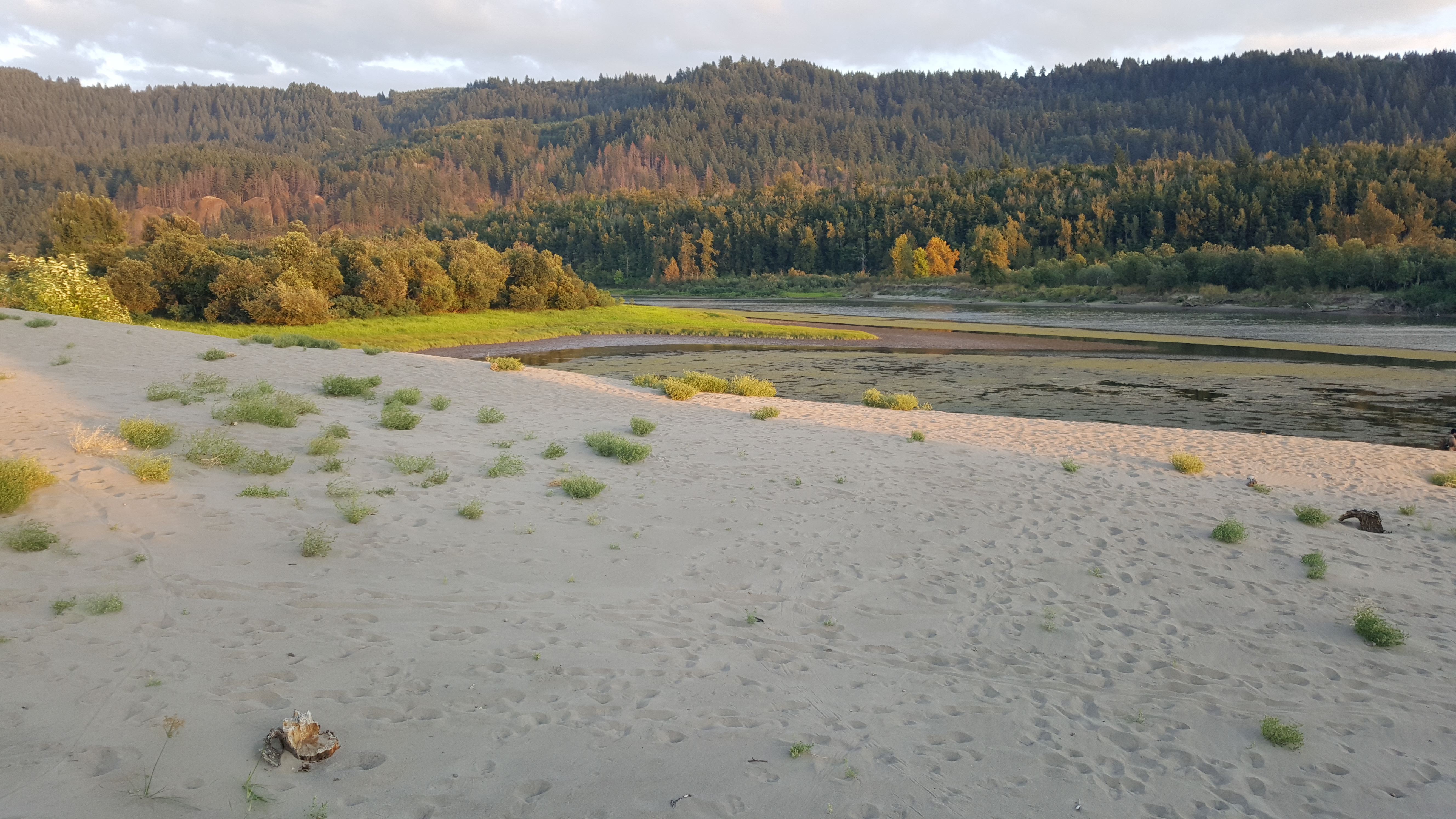 Rooster Rock State Park