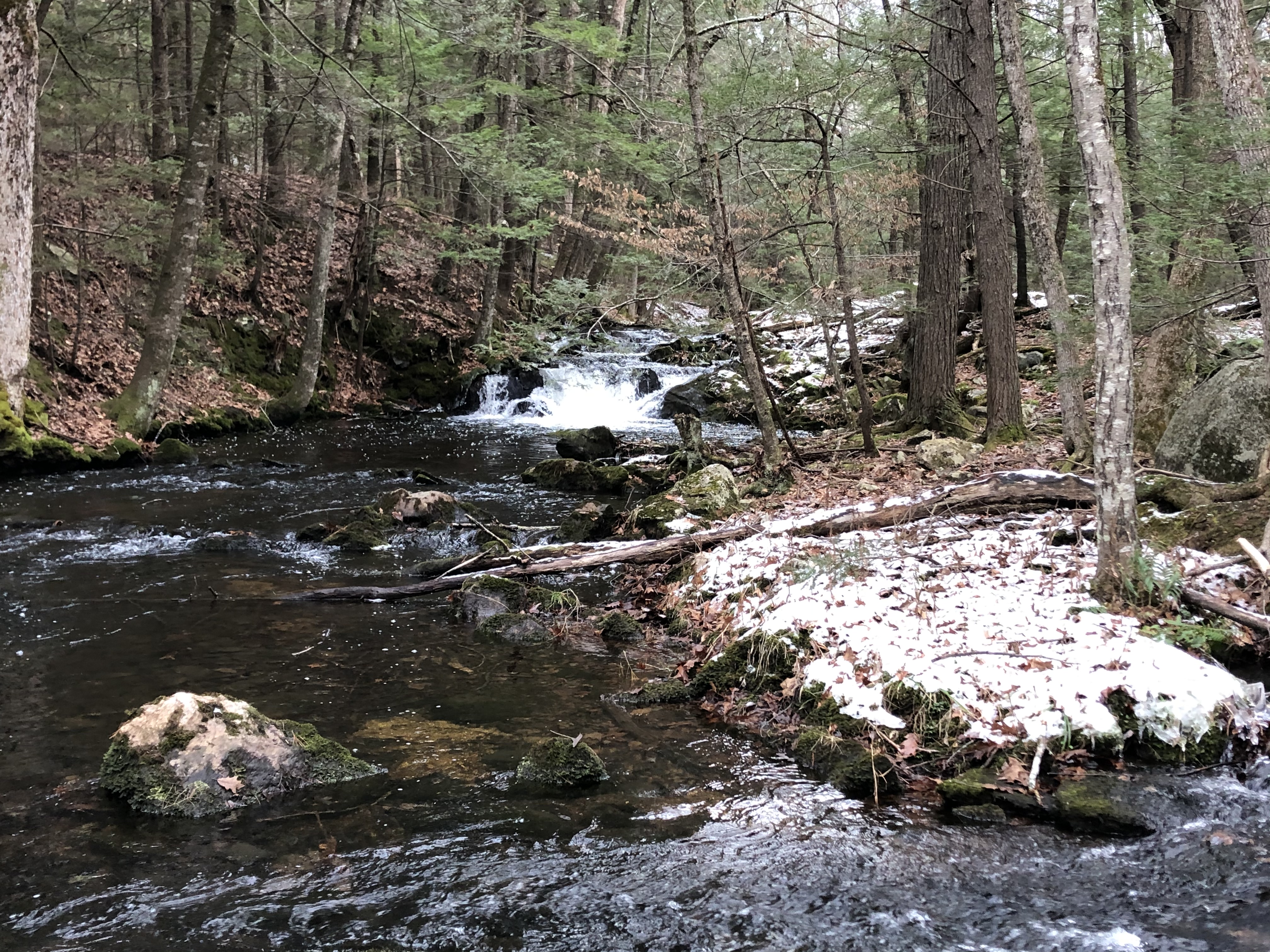 Pawtuckaway State Park