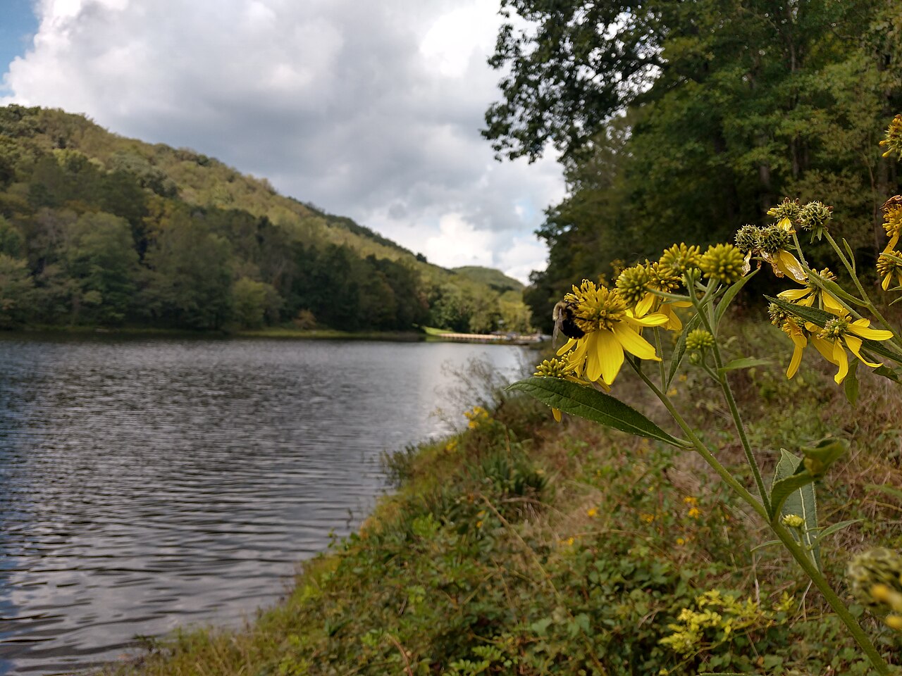 Tar Hollow Campground
