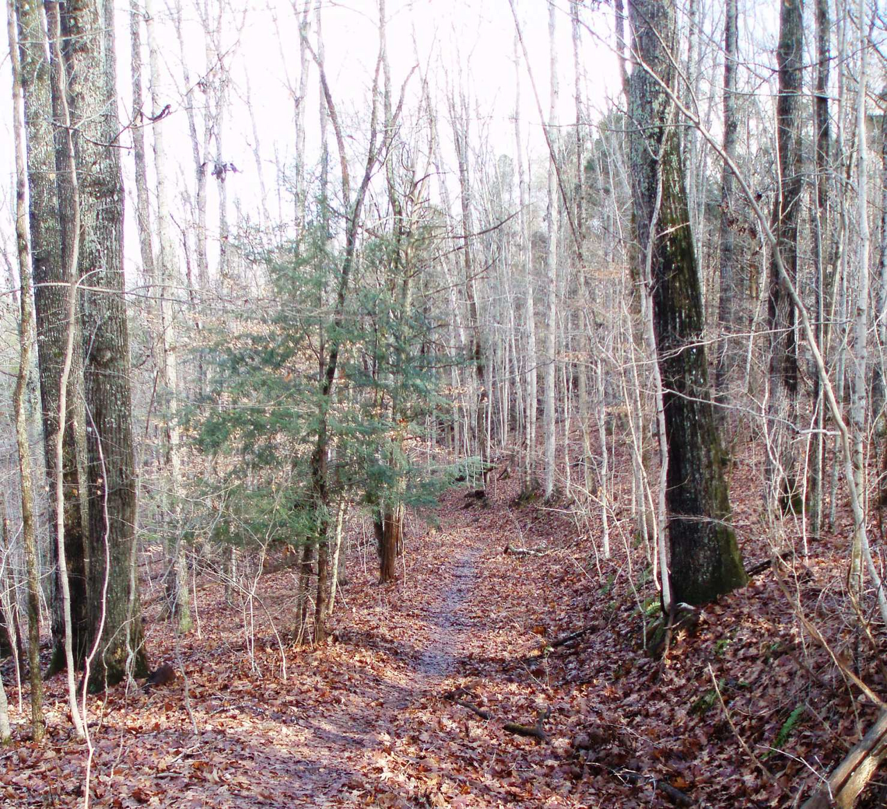 Warriors Path State Park